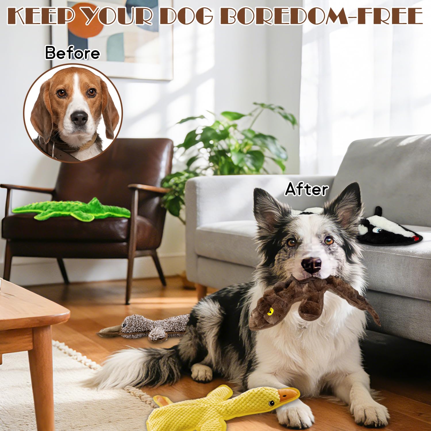 MAOOOOB five-pack plush set provides variety for bored dogs and gentle play.