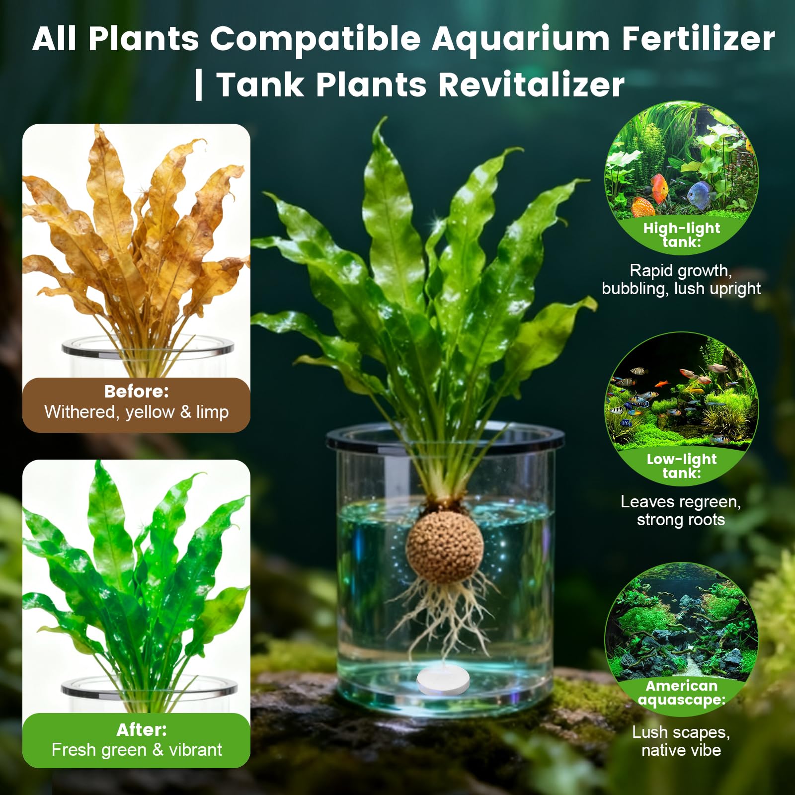 Maozyiltle Root Tabs in a planted tank shown for healthy root feeding.