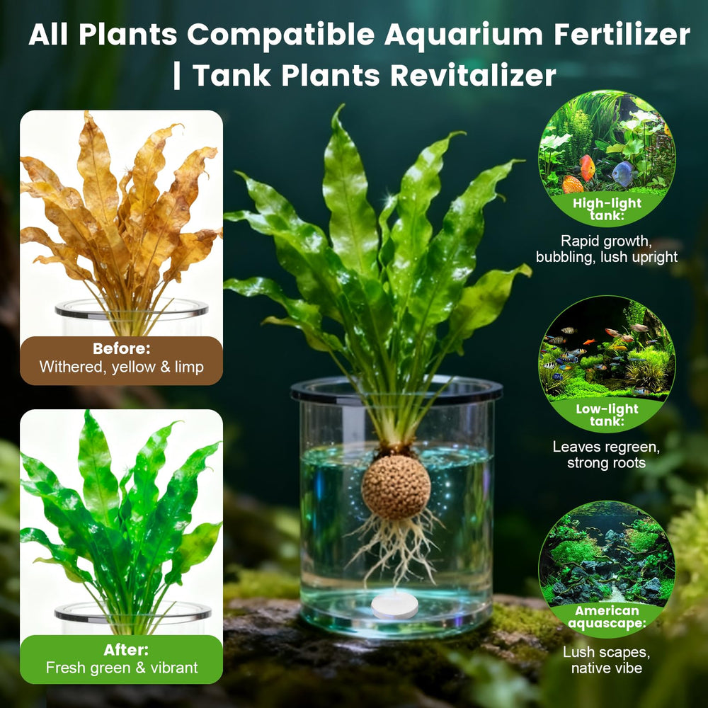 Maozyiltle Root Tabs in a planted tank shown for healthy root feeding.