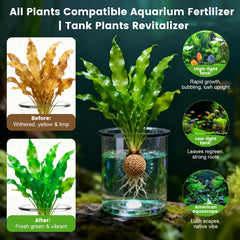 Maozyiltle Root Tabs in a planted tank shown for healthy root feeding.
