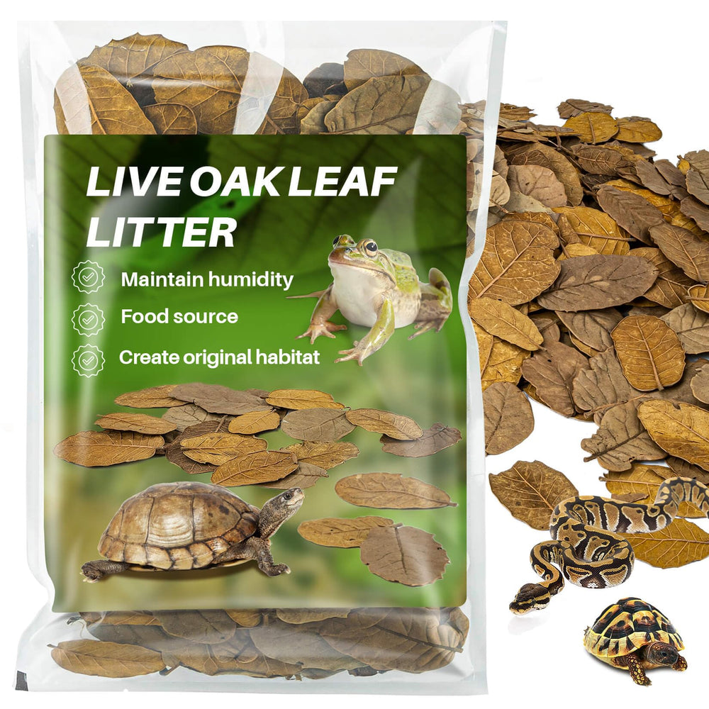 MAQIHAN oak leaf litter substrate for reptiles improves terrarium humidity