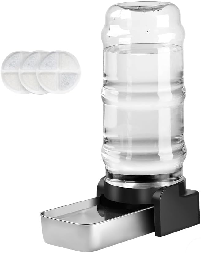 Marchul 2-3 gallon dog water dispenser showing large capacity for steady hydration.