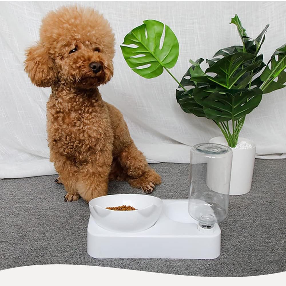 Marchul easy-clean removable parts simplify daily upkeep.