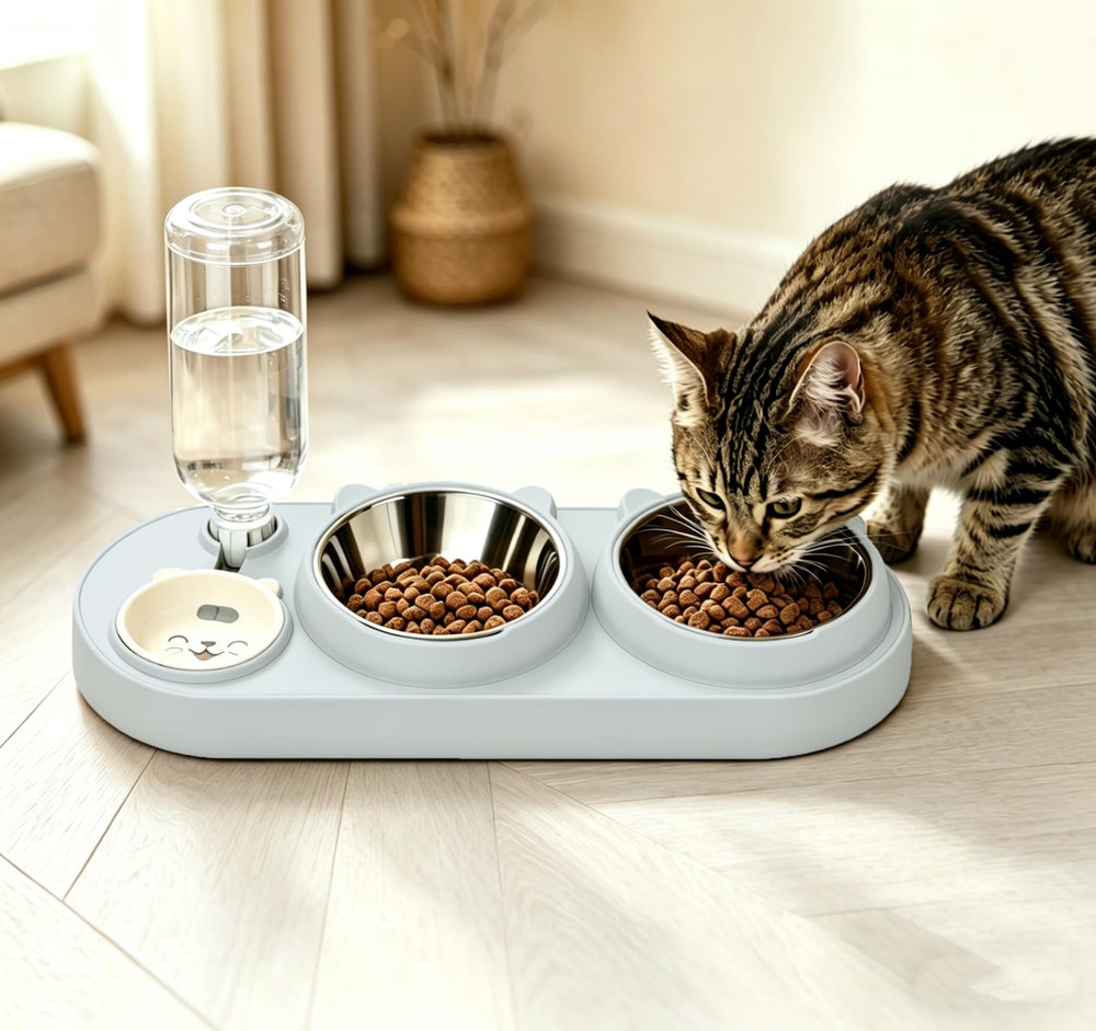 Marchul non-slip base prevents spills while pets eat and drink.