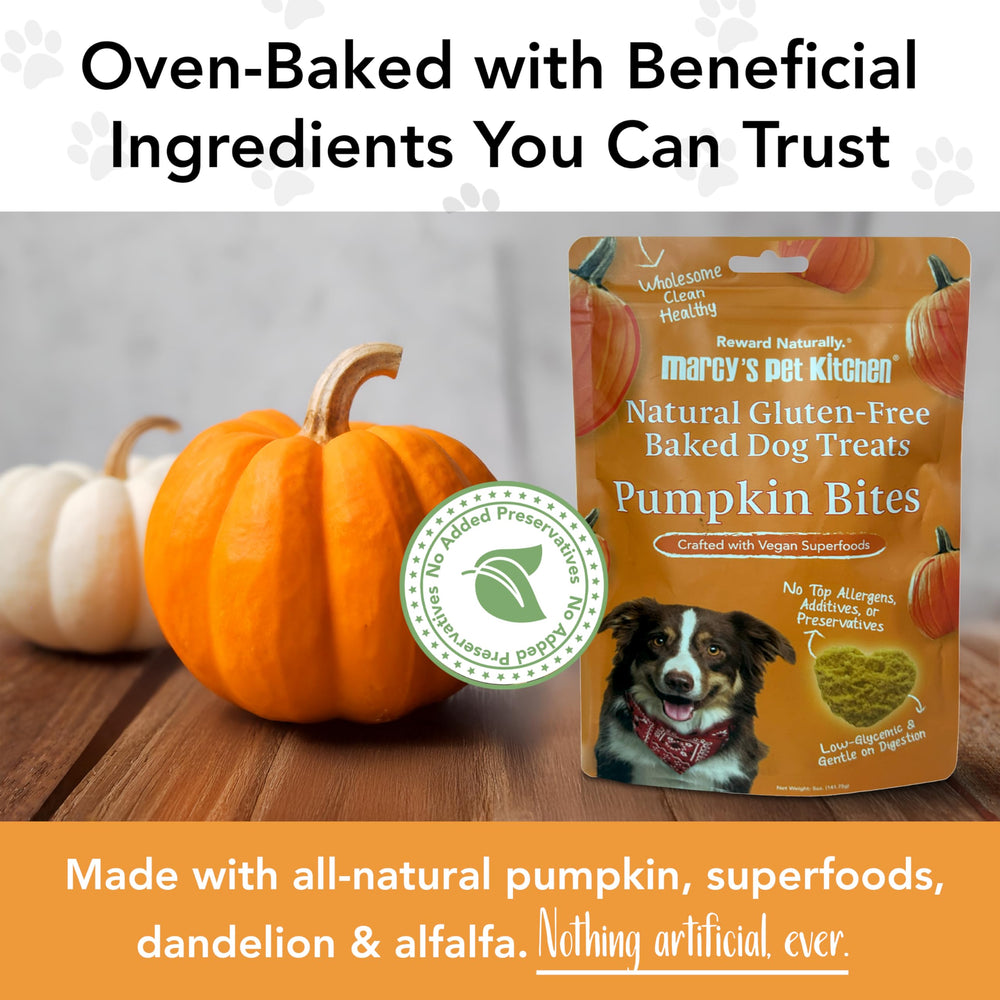 Heart-shaped pumpkin biscuits from Marcy's Pet Kitchen, natural ingredients.