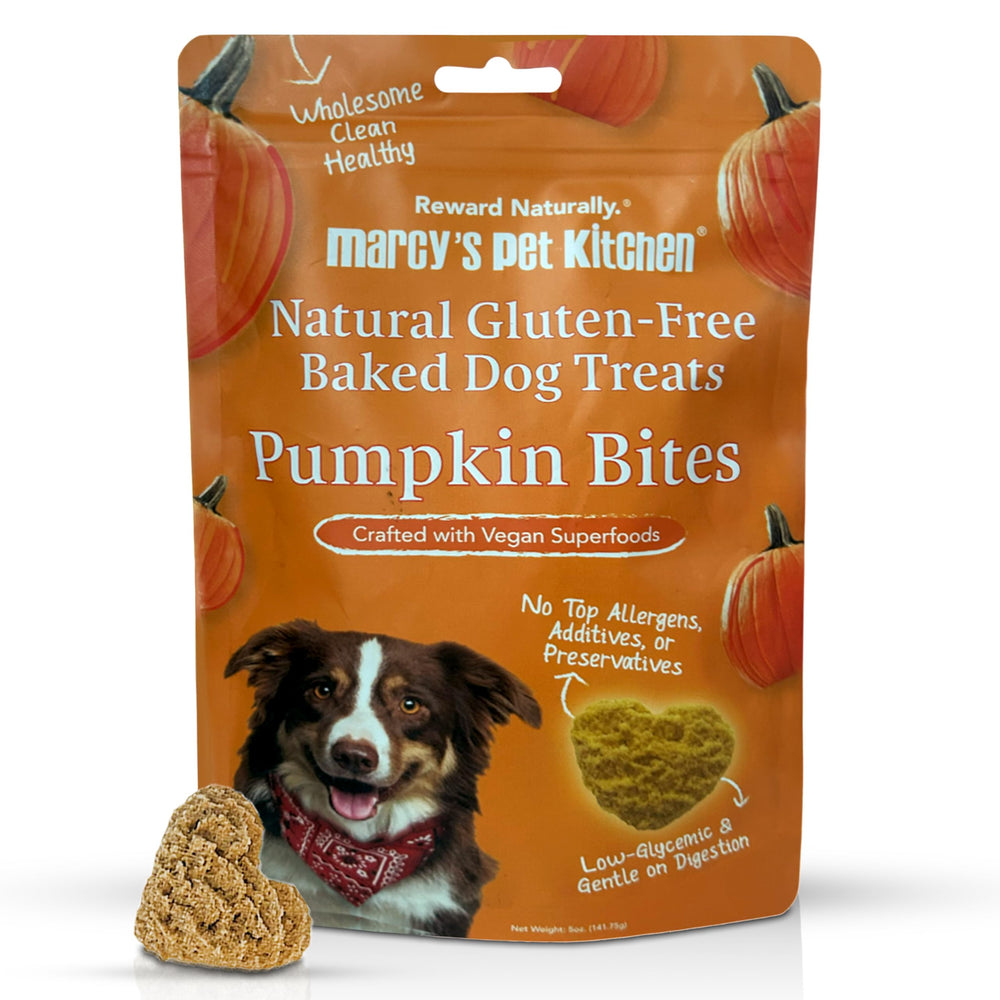 Marcy's Pet Kitchen pumpkin biscuit bag, wholesome ingredients for sensitive tummies.