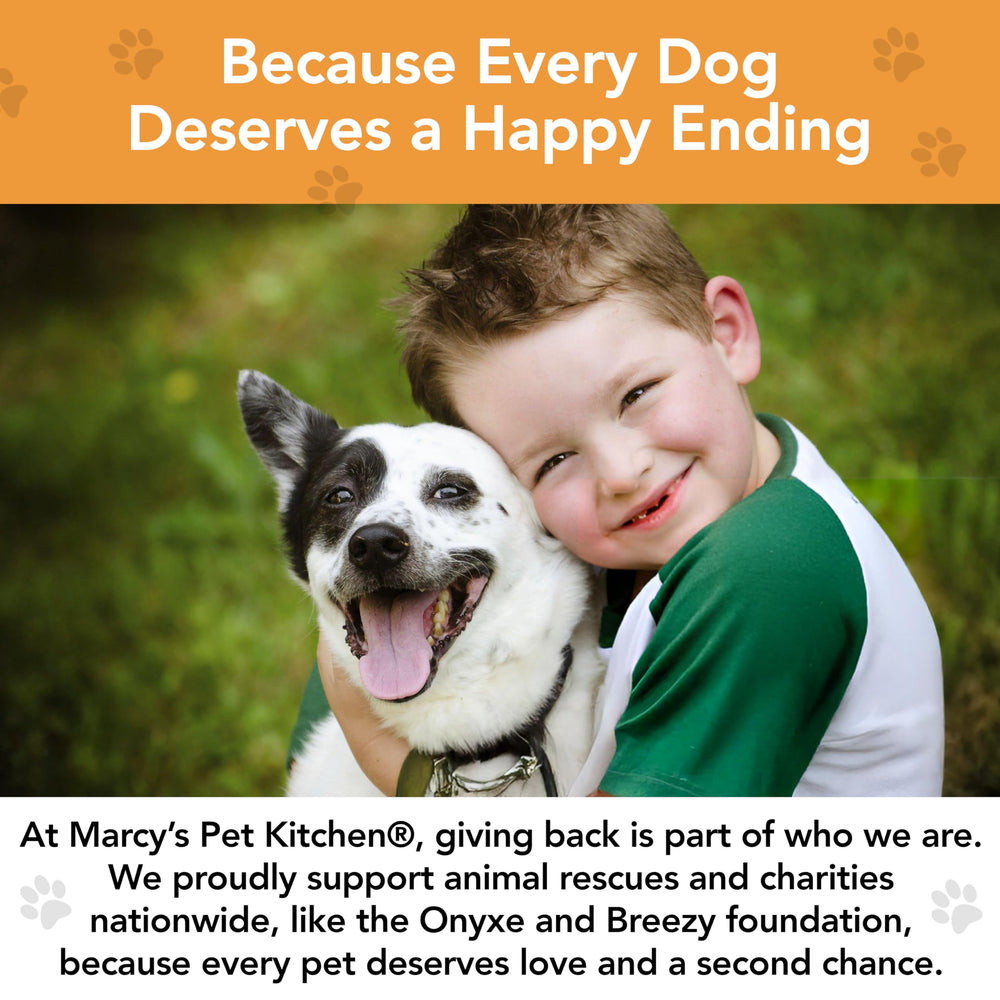 Real pumpkin and oat flour treats by Marcy's Pet Kitchen, fiber-rich for dogs.