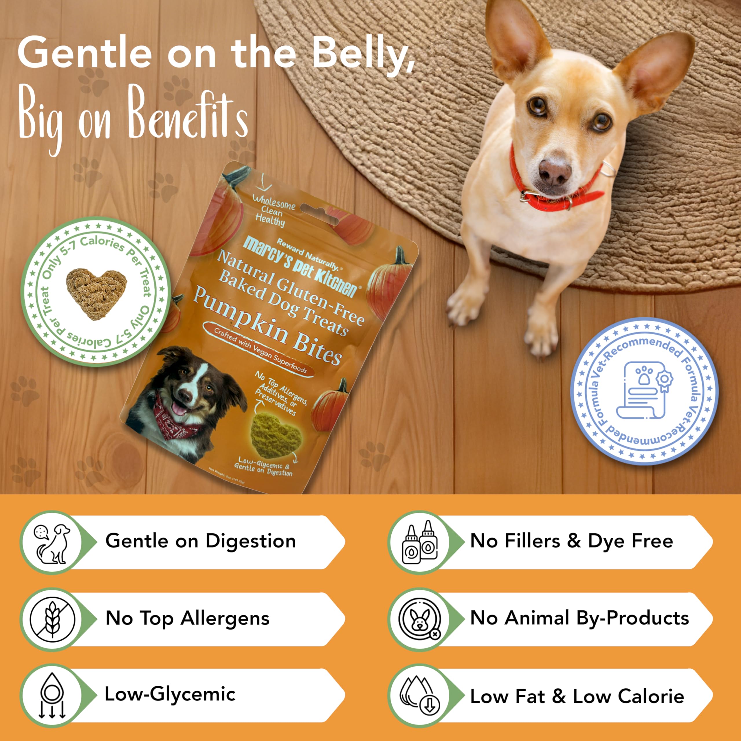 Vegan pumpkin treats from Marcy's Pet Kitchen, gluten-free and low glycemic.
