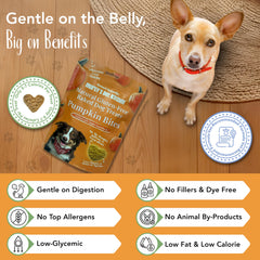 Vegan pumpkin treats from Marcy's Pet Kitchen, gluten-free and low glycemic.