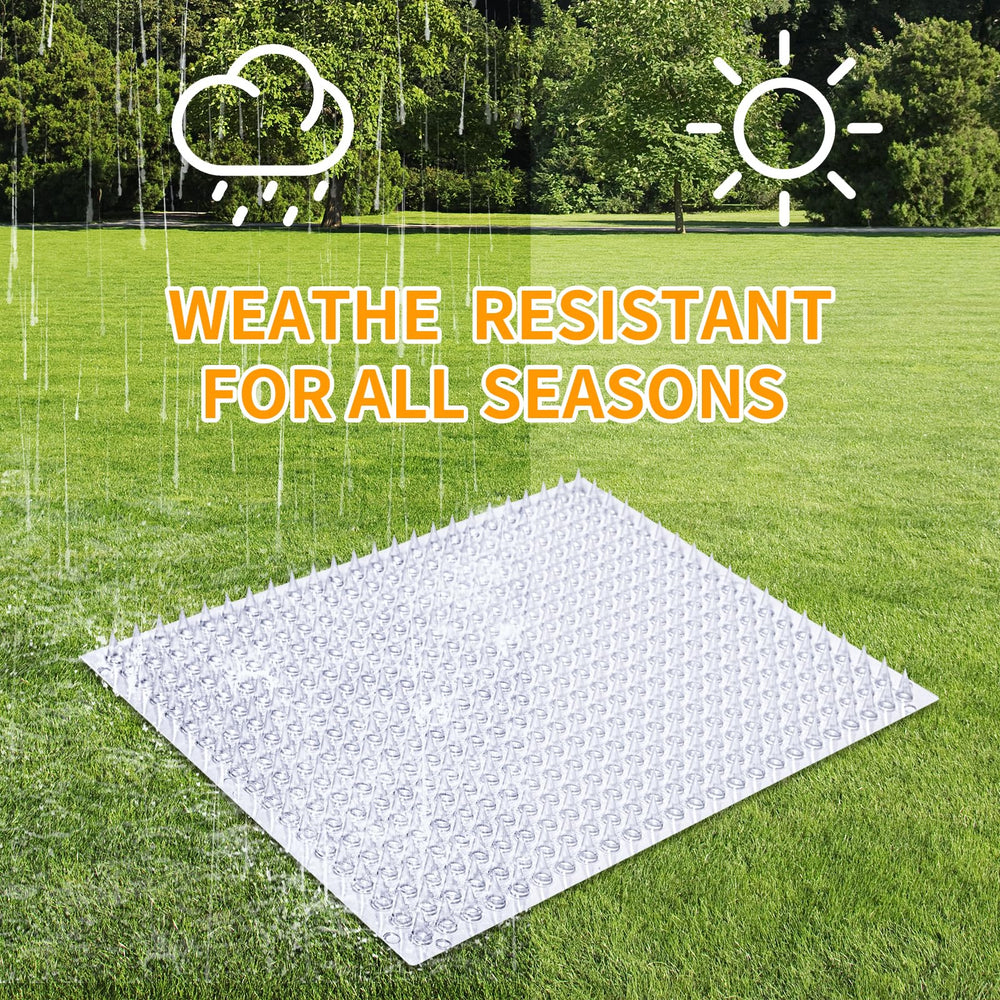 Mardili garden pet deterrent helps protect flower beds.
