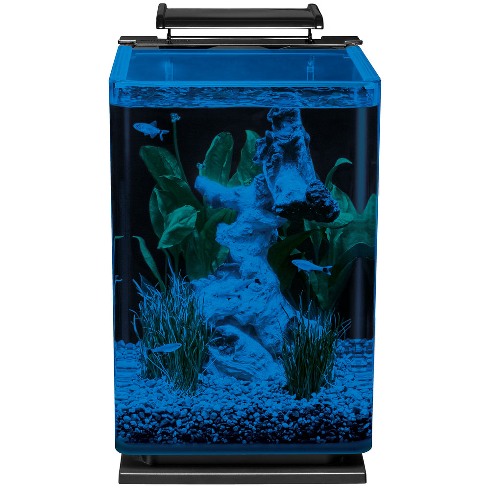 Marineland blue moonlight LEDs provide a calming nighttime glow.