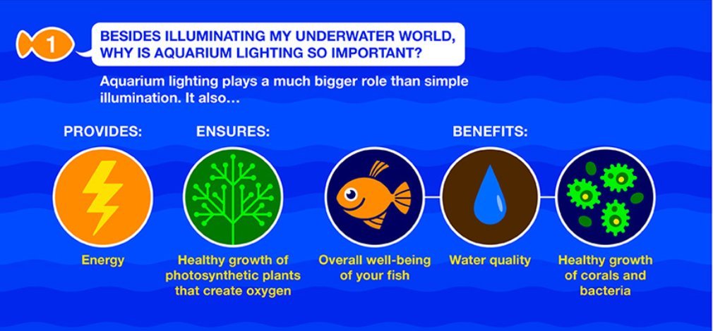 Marineland LED Aquarium Light with slim design and shimmering effect.
