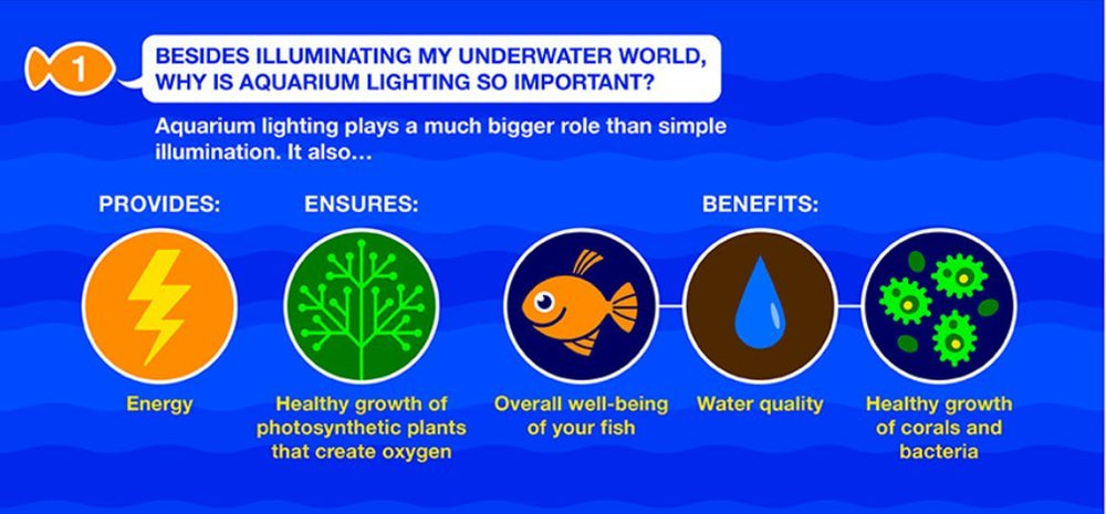 Marineland LED Aquarium Light with slim design and shimmering effect.