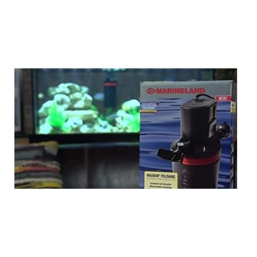 Marineland Magnum filter in action beside a thriving aquarium