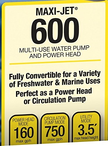 Small fountain setup powered by Marineland Maxi-Jet 600 Pro for surface movement