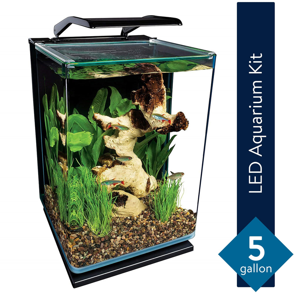 Sliding glass canopy on Marineland Portrait kit for easy feeding.