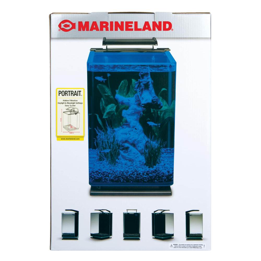 Marineland white daylight LEDs create a bright, sunlit effect in the tank.