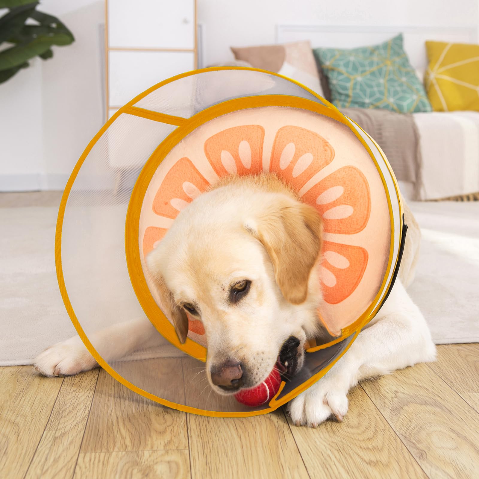 Mariyago large x-large orange donut cone designed for bigger dogs.