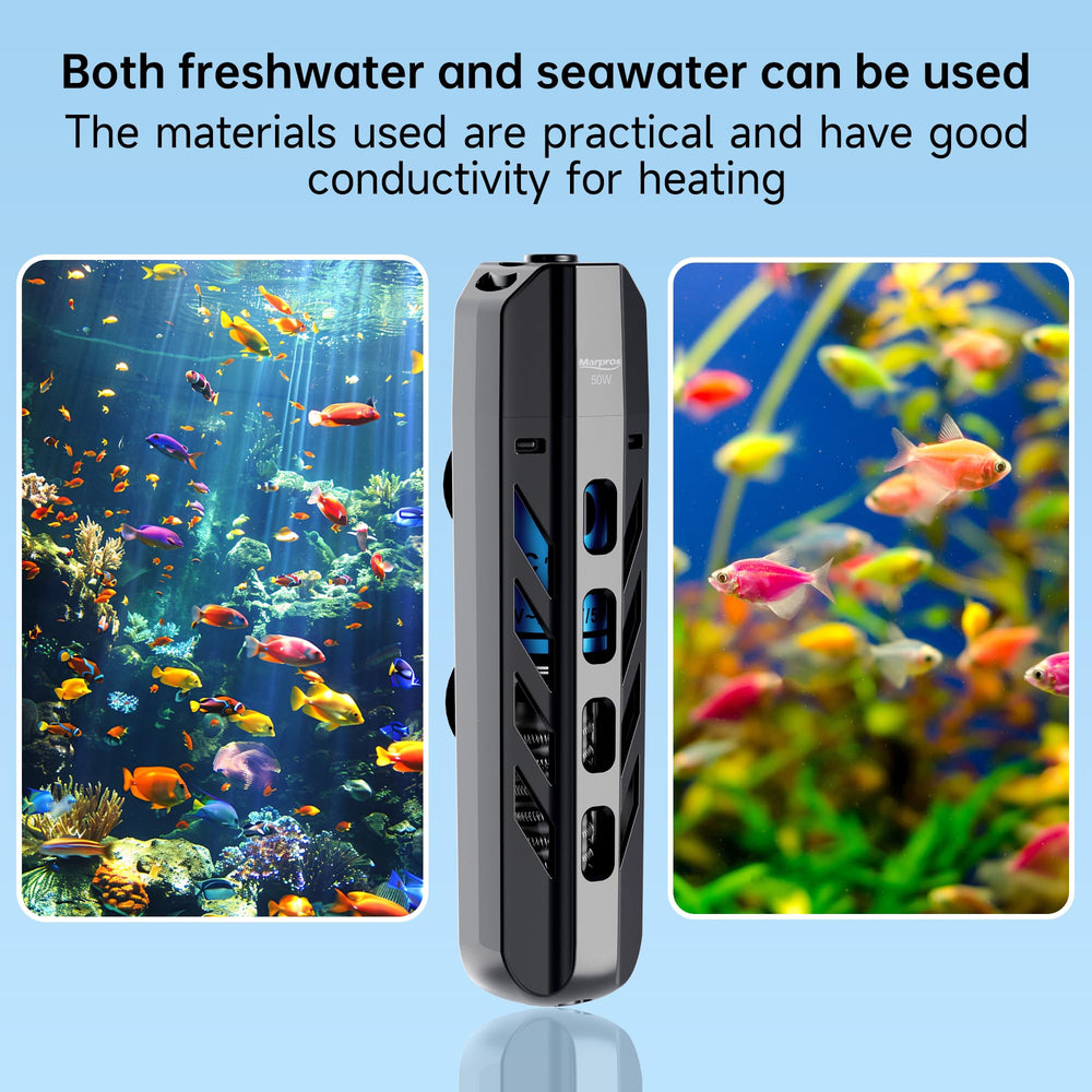 Marpros 50W submersible heater installed in a tidy 5-10 gallon tank