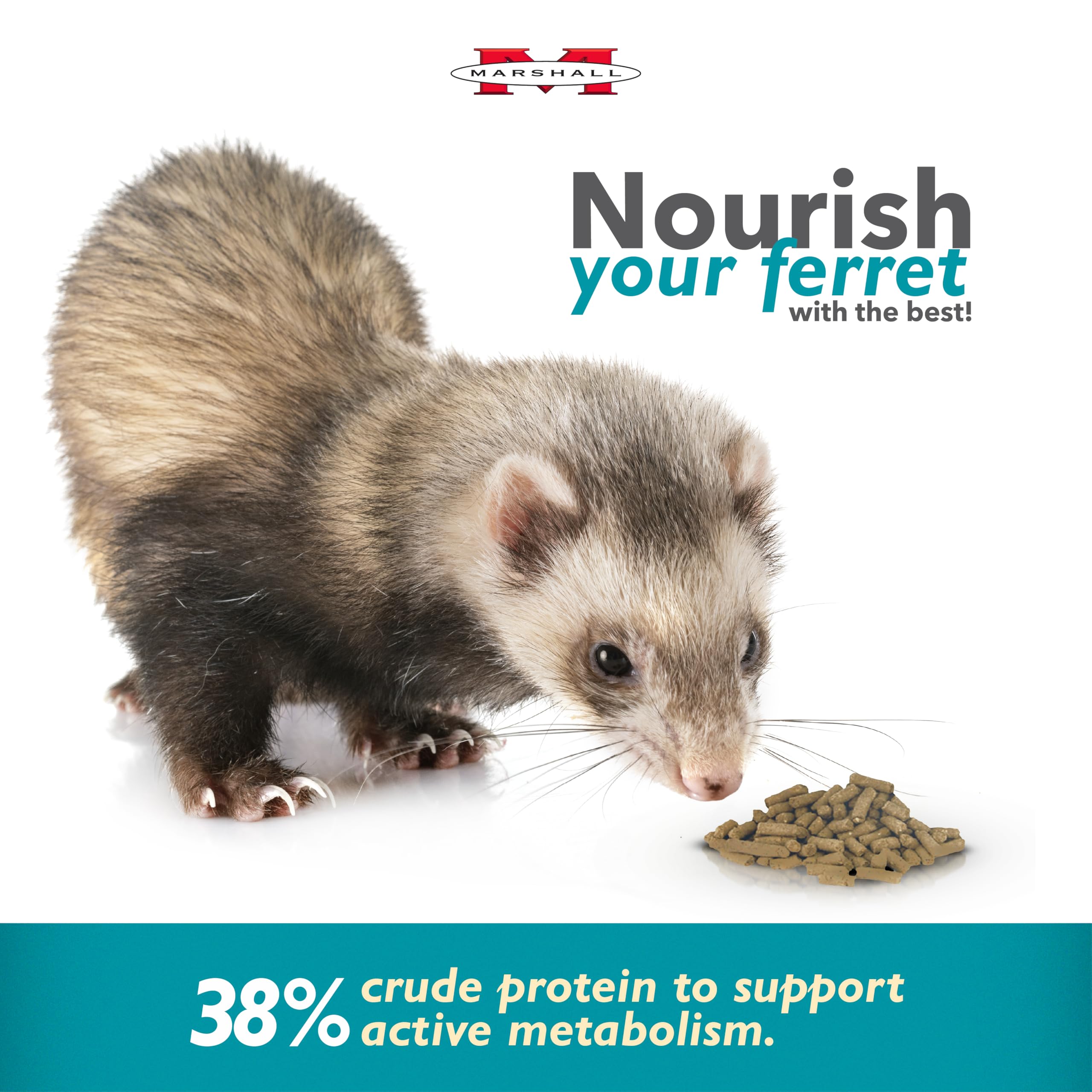 Marshall Select Chicken Diet bag shows complete ferret nutrition details