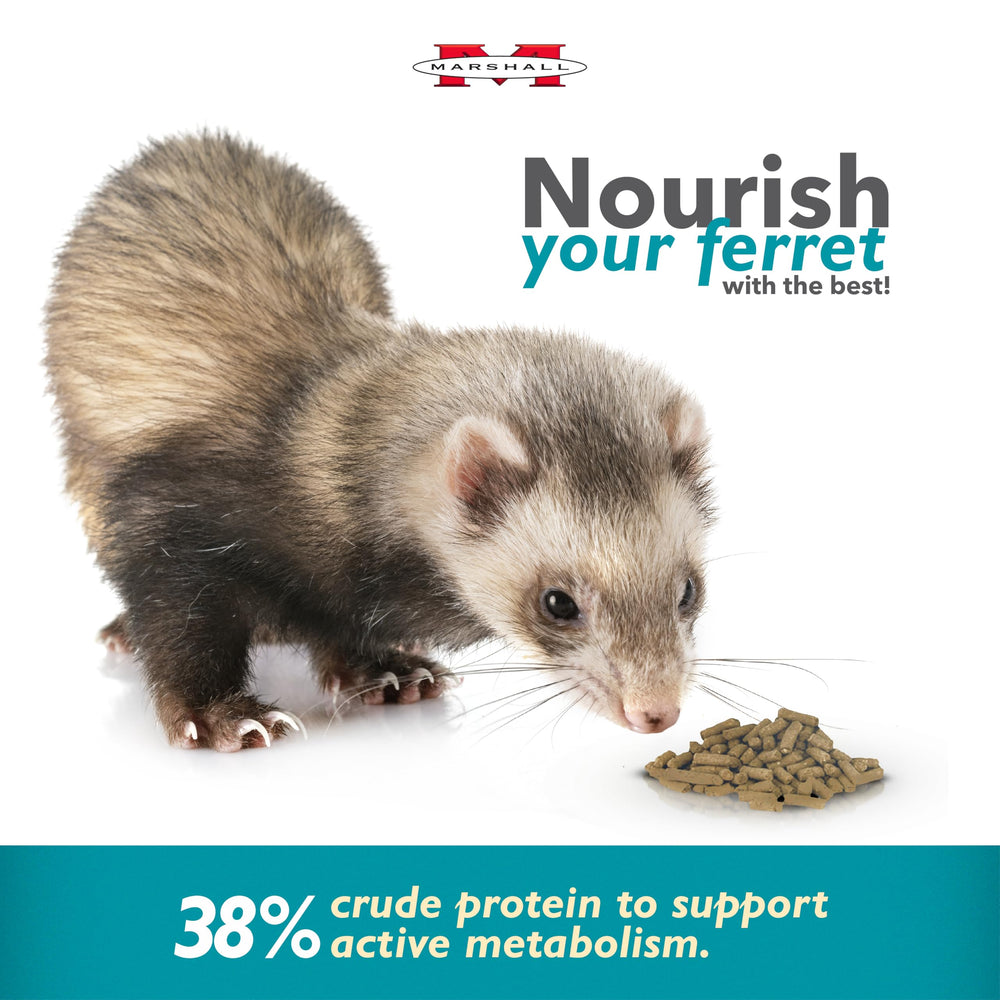 Marshall Select Chicken Diet bag shows complete ferret nutrition details
