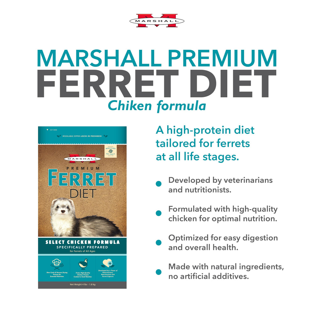 Marshall feeding time ferret savoring kibble with balanced nutrition