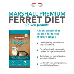 Marshall feeding time ferret savoring kibble with balanced nutrition