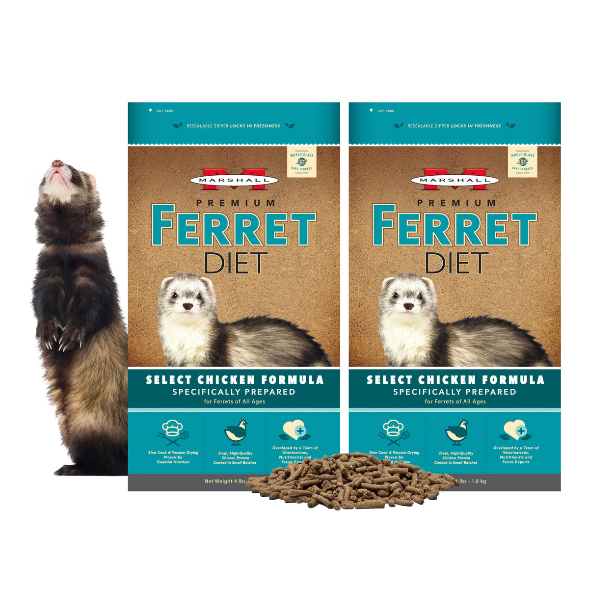 Marshall Select Chicken Ferret Diet kibble in bowl supports daily energy