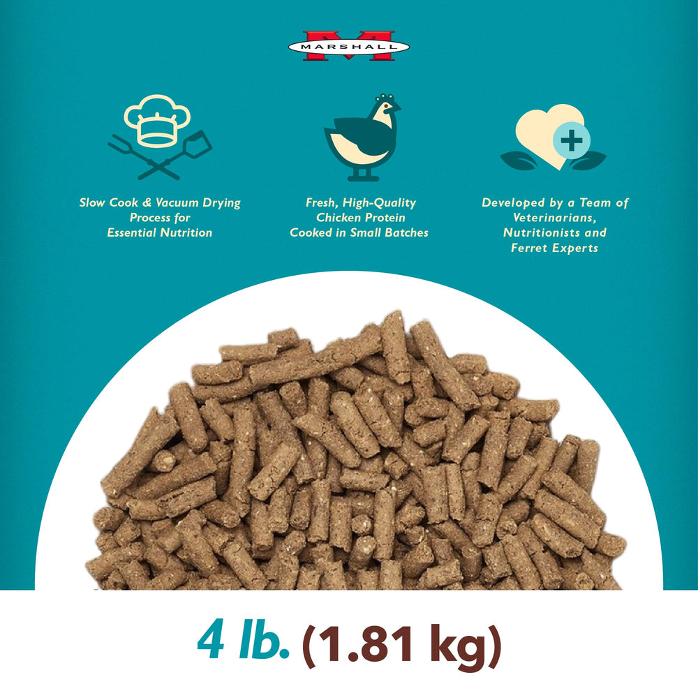 Marshall kibble texture close-up highlighting crunchy bites for digestion