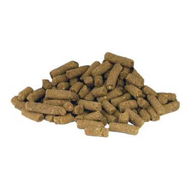 Marshall Premium Ferret Diet Food 4lb bag 2-pack on shelf for easy stocking.
