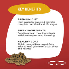 Marshall Premium Ferret Diet packaging front, veterinarian-developed nutrition.