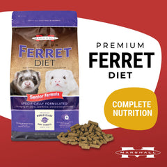 Kibble close-up of Marshall Premium Ferret Diet Senior Formula highlighting high-protein texture