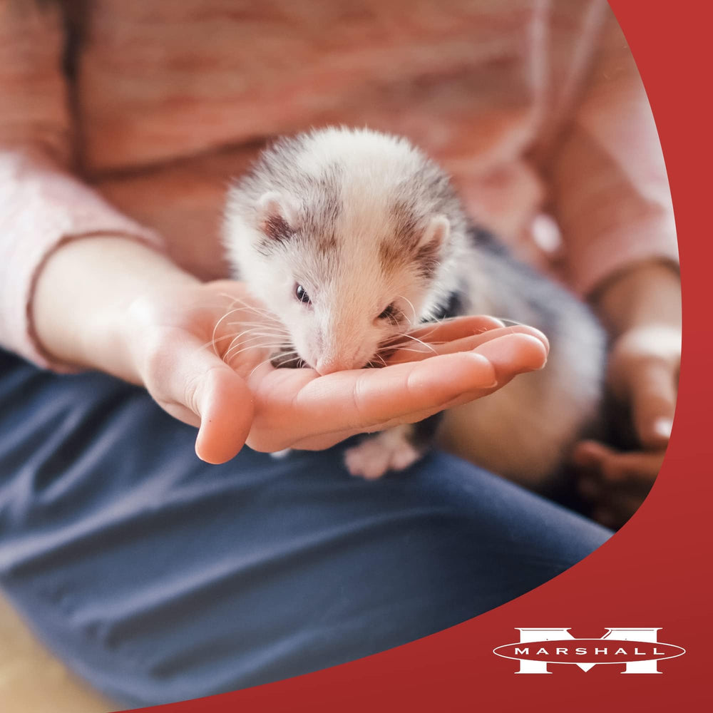 Marshall Premium Ferret Diet serving bowl, convenient daily feeding.