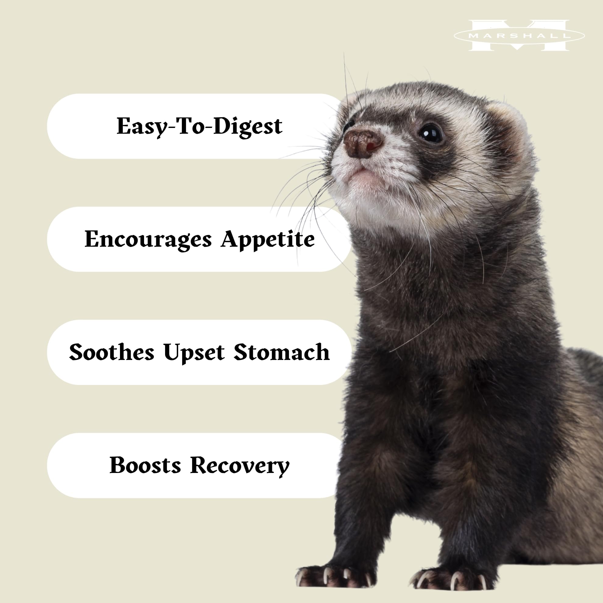 Marshall Uncle Jim's DUK Soup Mix for Ferrets – serving bowl presentation for ferret meals.