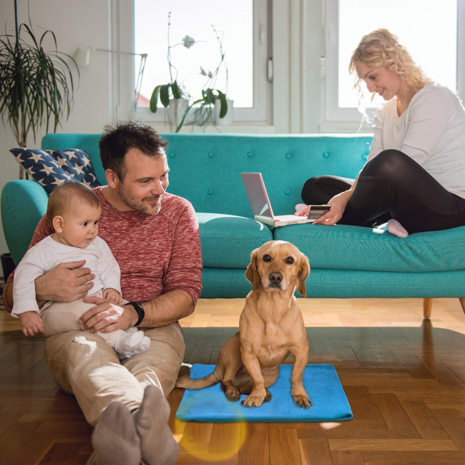 MARUNDA auto constant temperature maintains a stable heat level for pets.