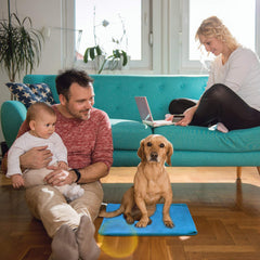 MARUNDA auto constant temperature maintains a stable heat level for pets.