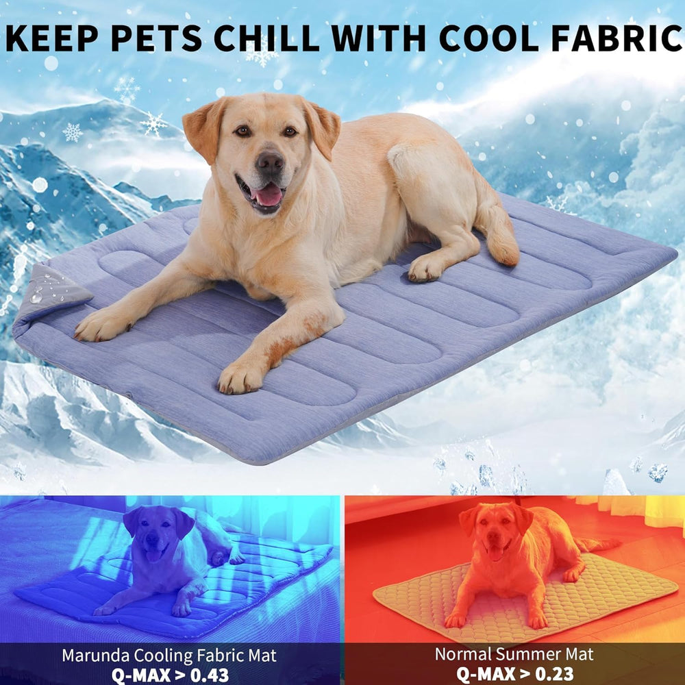 MARUNDA ocean blue mat with dog resting demonstrates 60% thicker supportive surface.