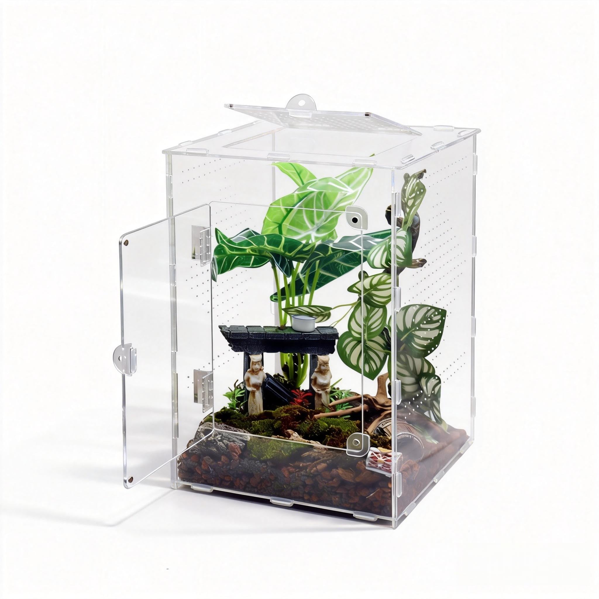 MaryCarrie large jumping spider enclosure front view for clear viewing and easy access.