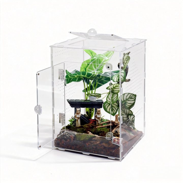 MaryCarrie large jumping spider enclosure front view for clear viewing and easy access.