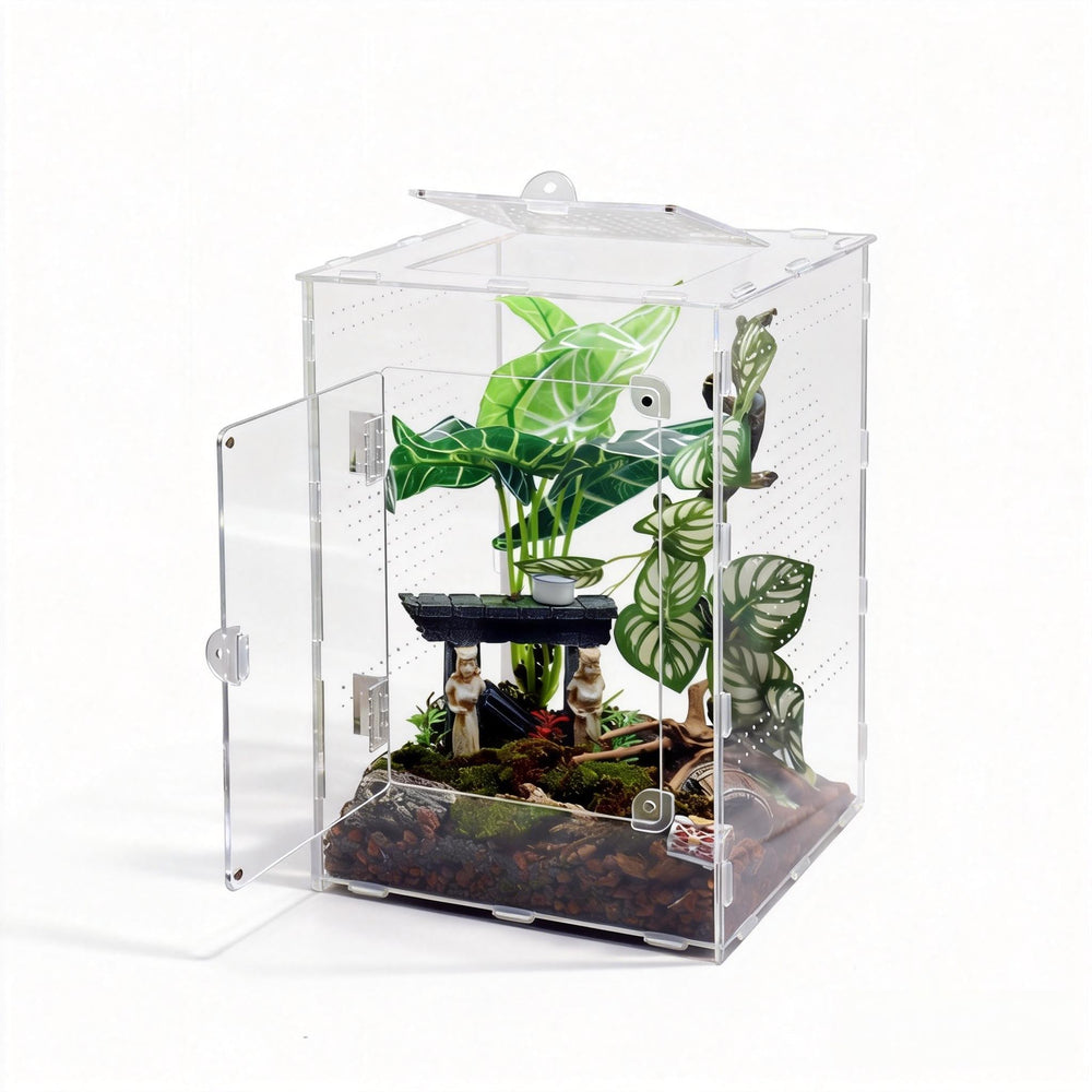 MaryCarrie large jumping spider enclosure front view for clear viewing and easy access.
