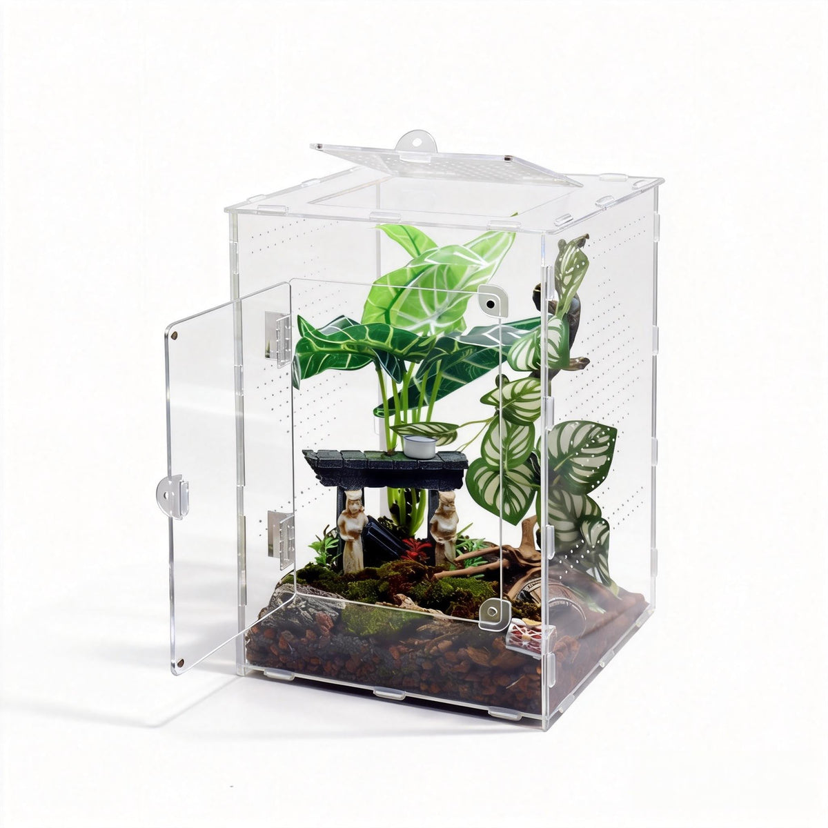 MaryCarrie large jumping spider enclosure front view for clear viewing and easy access.