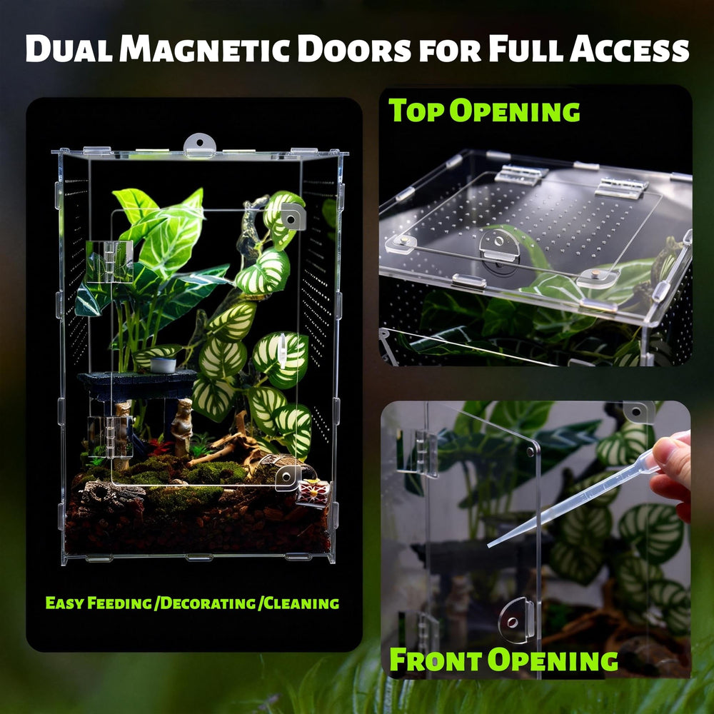 MaryCarrie large enclosure ventilation supports stable humidity for small arachnids.