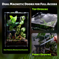 MaryCarrie large enclosure ventilation supports stable humidity for small arachnids.