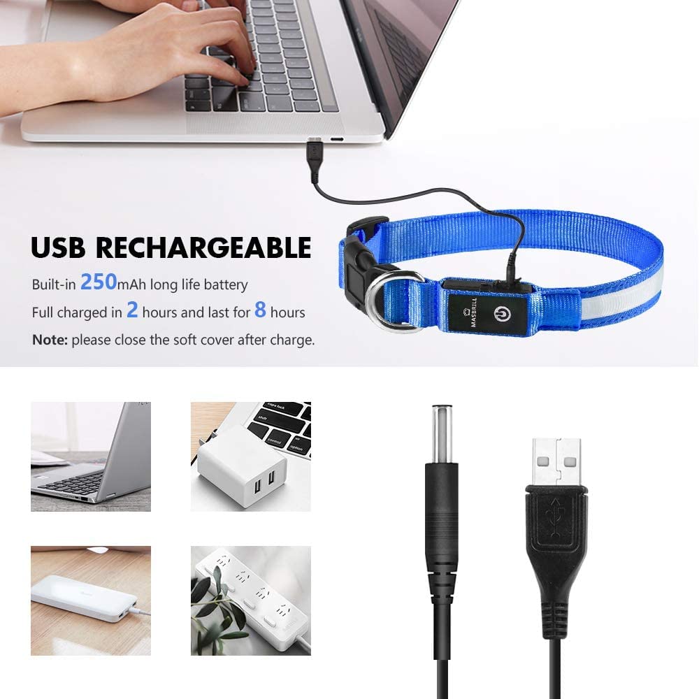 MASBRILL durable collar for everyday adventures
