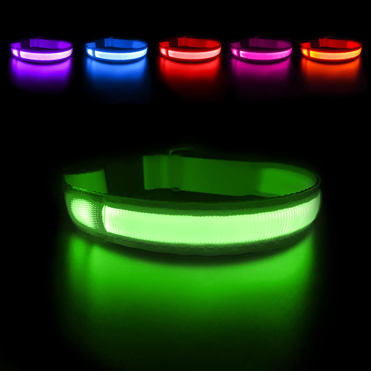 MASBRILL LED dog collar glowing on a dog for high night visibility