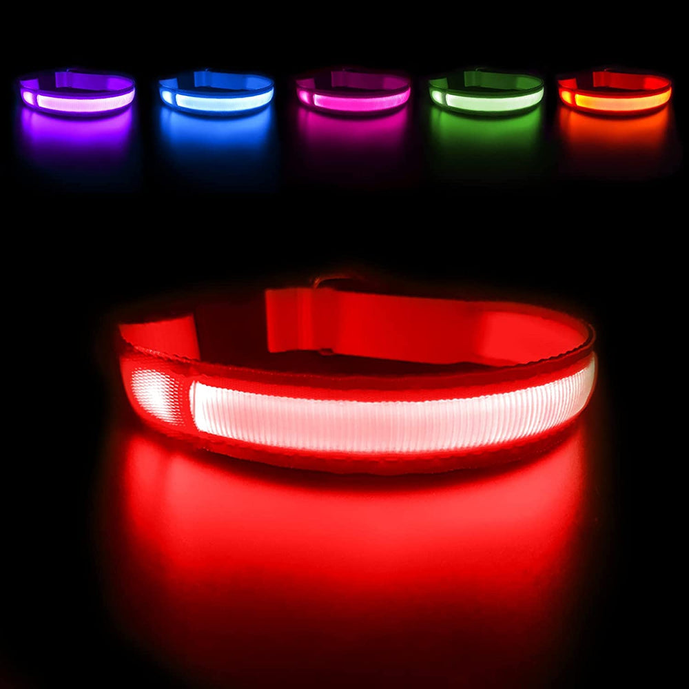 MASBRILL LED Dog Collar light-up for nighttime visibility during walks