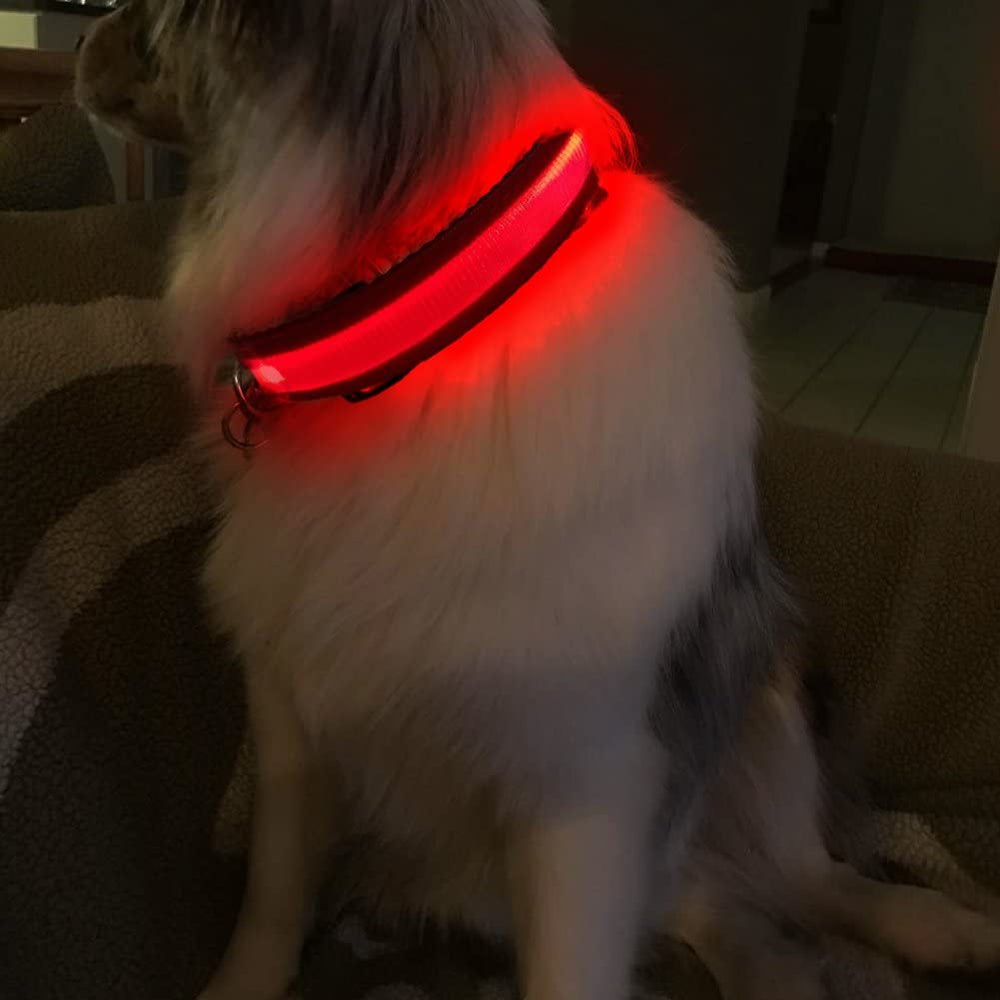 MASBRILL LED Dog Collar night visibility for safer strolls
