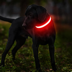 MASBRILL LED Dog Collar USB-rechargeable for extended outings