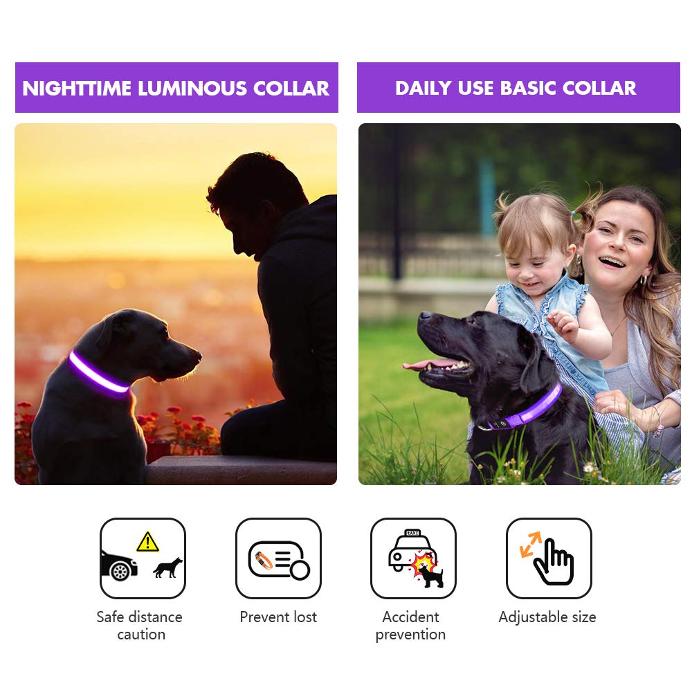 MASBRILL Light Up Dog Collar purple USB charging for easy power on the go