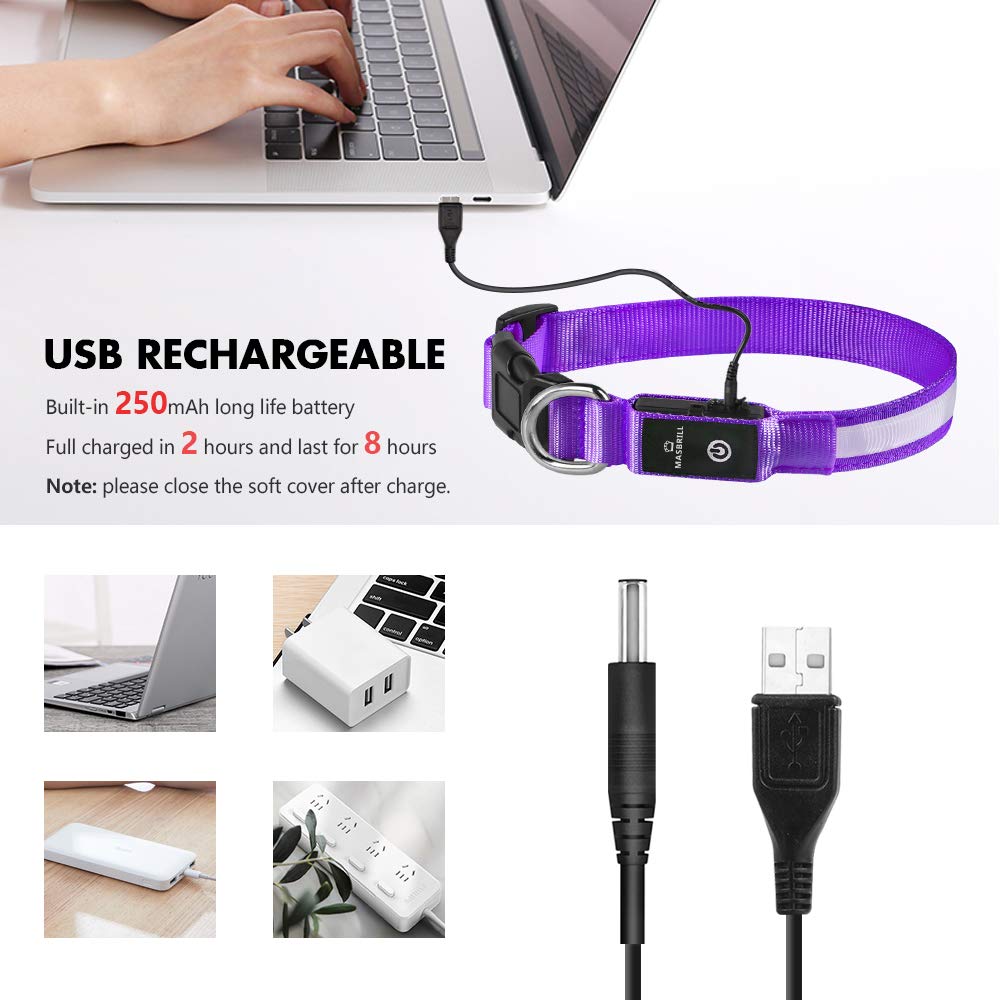 MASBRILL Light Up Dog Collar purple LED modes offer flexible visibility options